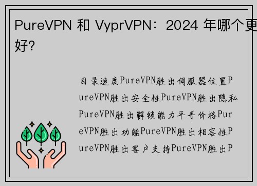 PureVPN 和 VyprVPN：2024 年哪个更好？