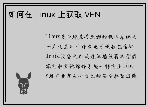 如何在 Linux 上获取 VPN 